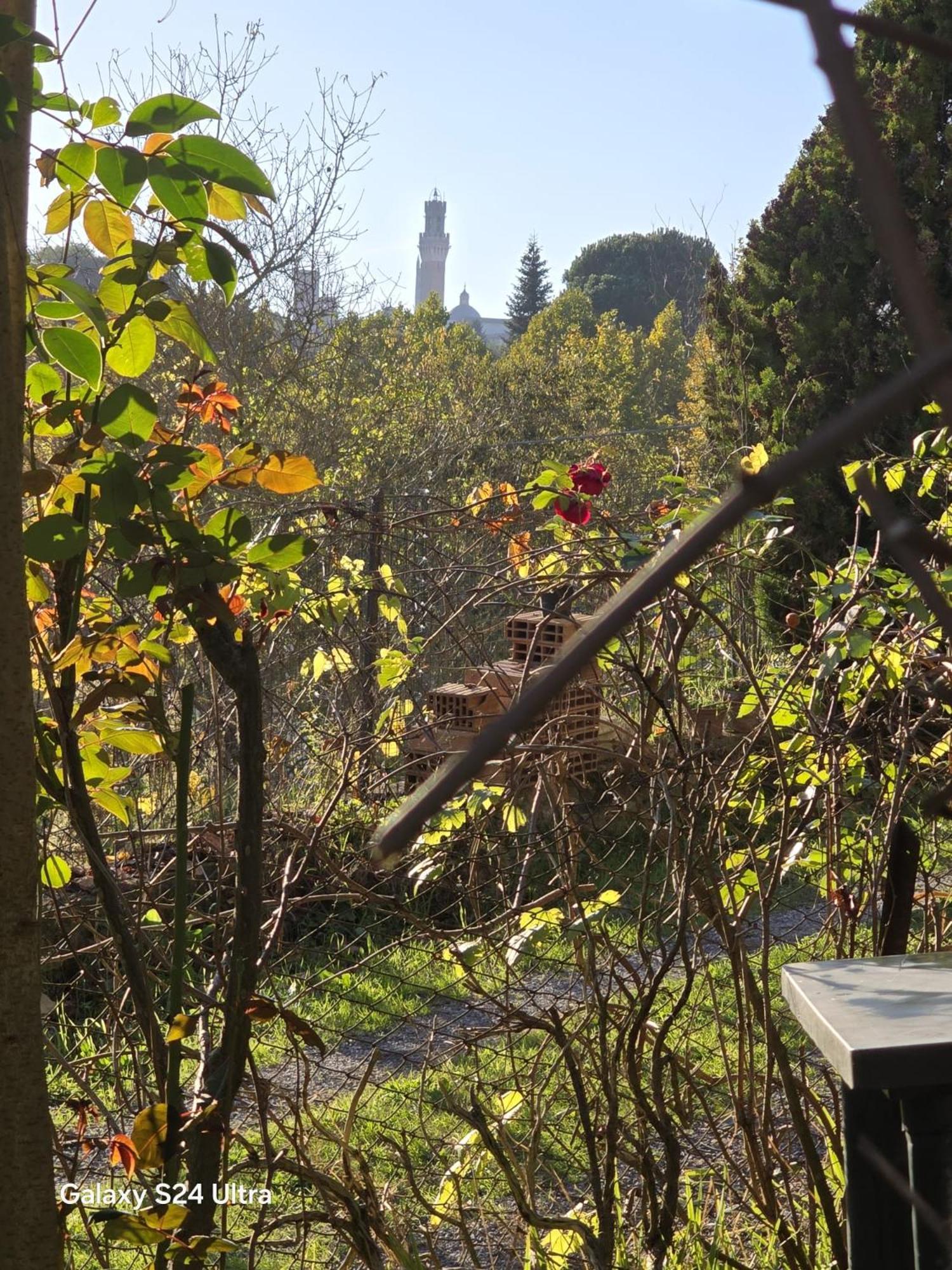 Podere Ponticini Apartamento Siena