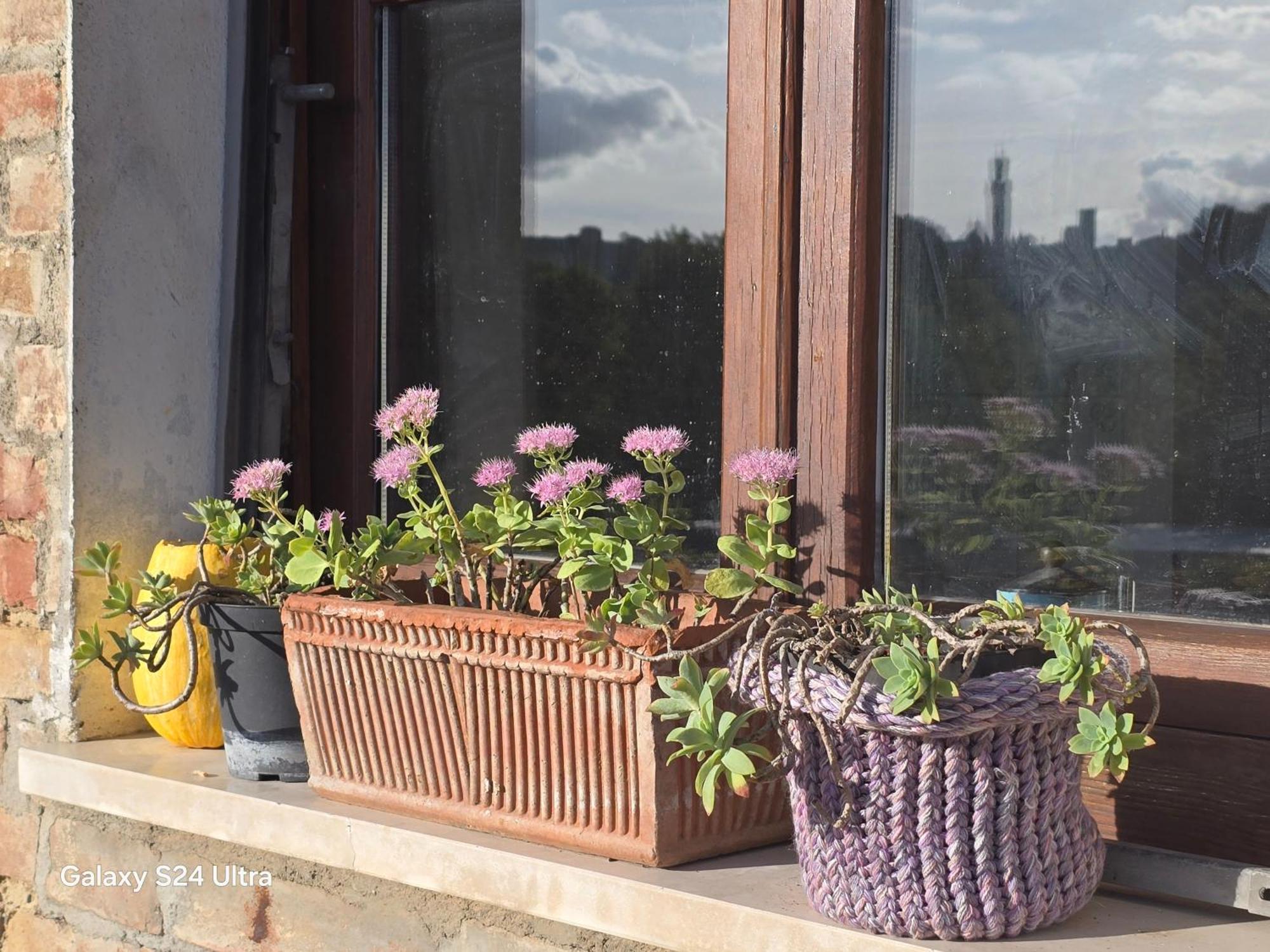 Apartment Podere Ponticini