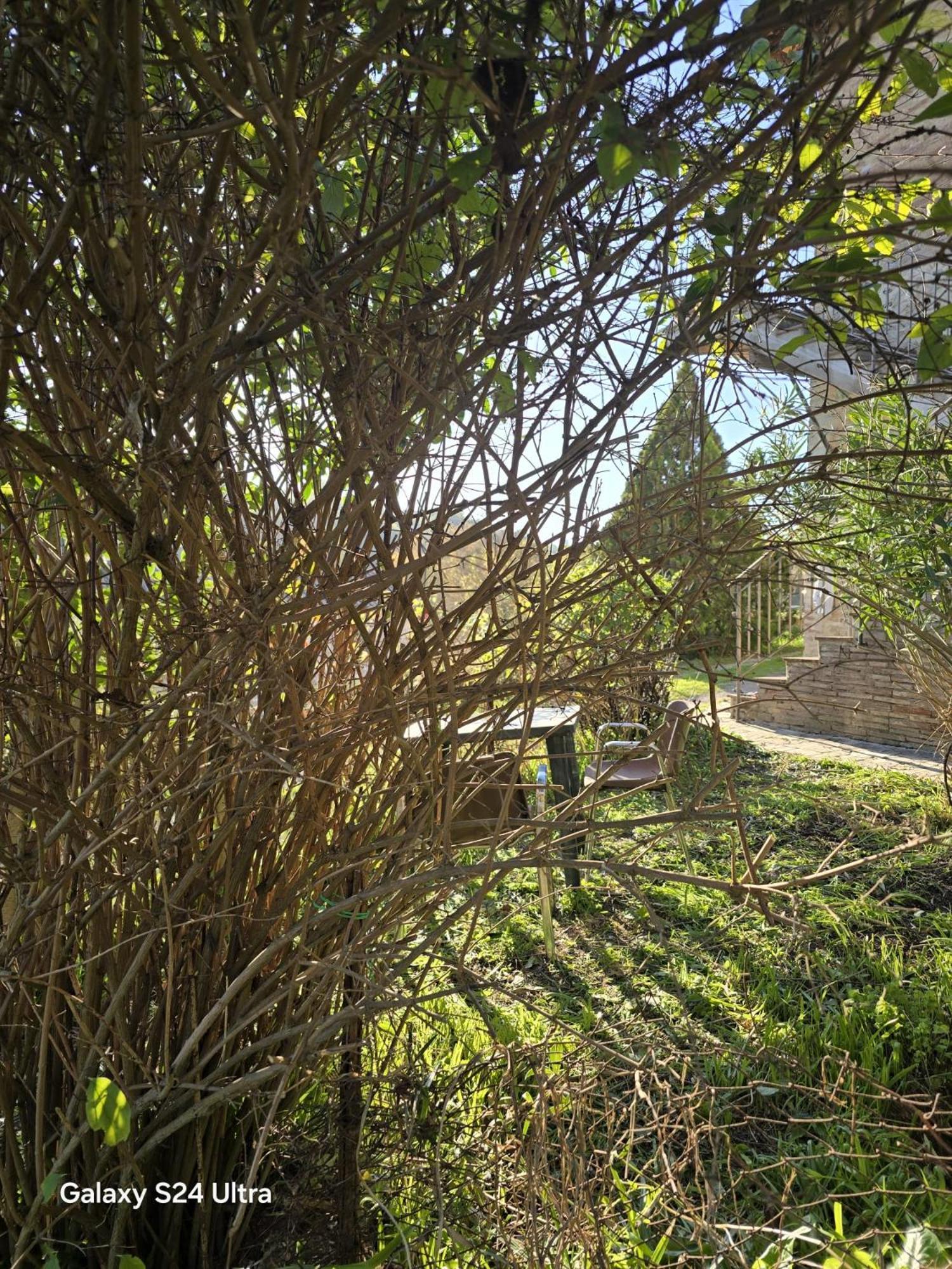 Podere Ponticini Apartment *